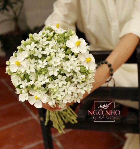 Bó hoa cưới sao trắng mix hoa bướm gỗ