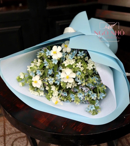 Bó hoa sao xanh, sao trắng mix hoa bướm gỗ