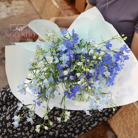 Bó hoa Tiểu Delphinium