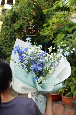 Bó hoa Tiểu Delphinium
