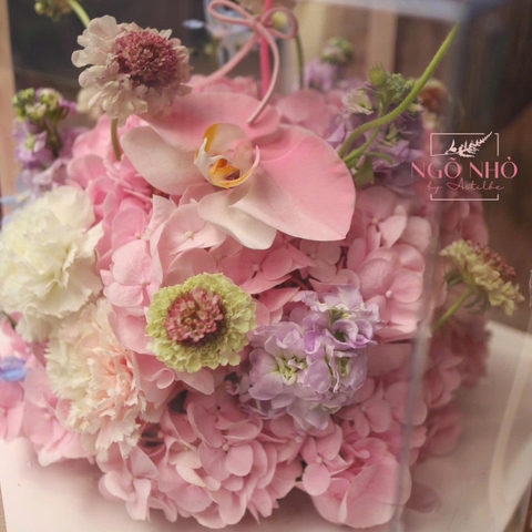 Mẫu Hoa Bánh Tone Hồng