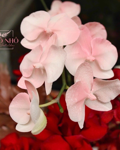 Giỏ hoa tông đỏ mix hồng