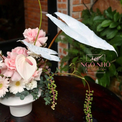 Bình hoa/cup hoa tông hồng pastel: Lan Hồ Điệp mix Hồng Môn