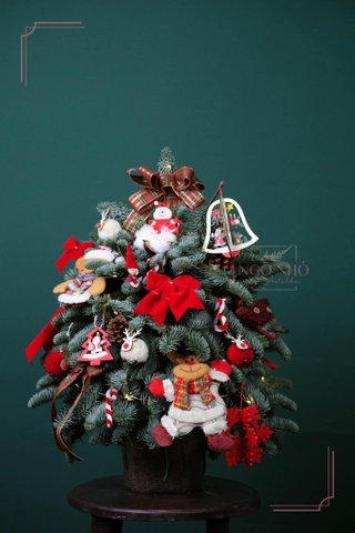 Hộp Thông Nhập Khẩu - Xmas 099