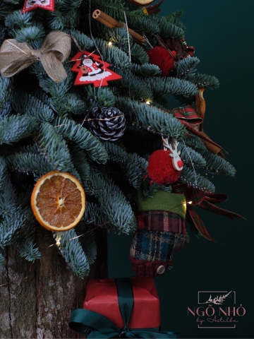 Hộp Thông Nhập Khẩu - Xmas 024