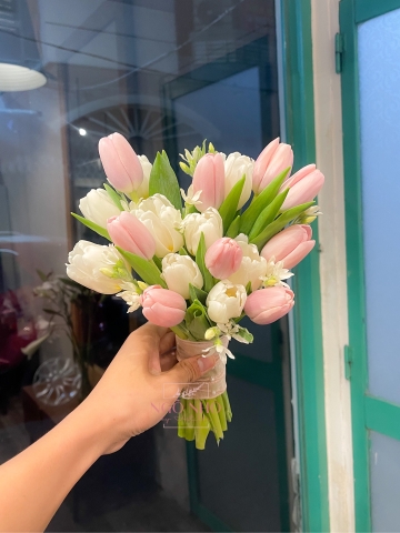Hoa Cưới Tulip Hà Lan 210