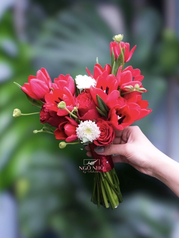 Hoa Tưới Tone Đỏ 292 | Tulip Hà Lan & Hồng Ecuador & Thuý Châu