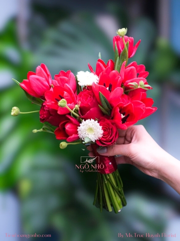 Hoa Tưới Tone Đỏ 292 | Tulip Hà Lan & Hồng Ecuador & Thuý Châu