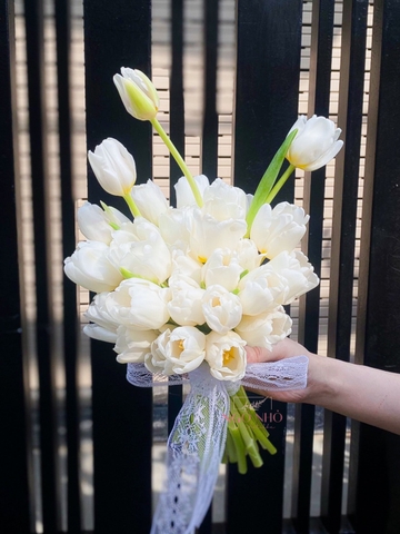 Hoa Cưới Tulip Hà Lan | Kèm Hoa Cài Áo Chú Rể 268