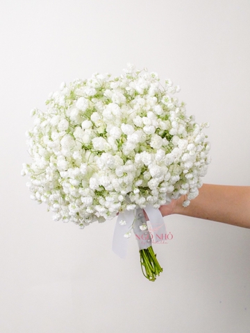 Hoa Cưới 206 | Babi Ecuador Nhập Khẩu