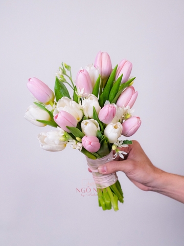 Hoa Cưới Tulip Hà Lan 210