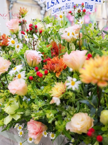 Hộp Gô Hoa Đồng Nội 6in1 | 6 Hộp Hoa Nhỏ