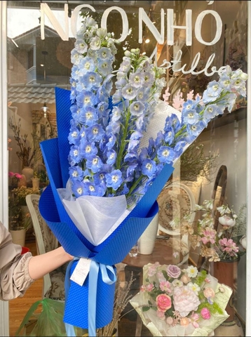 Bó hoa Delphinium xanh