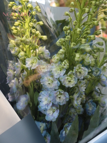 Bó Hoa Delphinium Xanh Nhập Khẩu 948