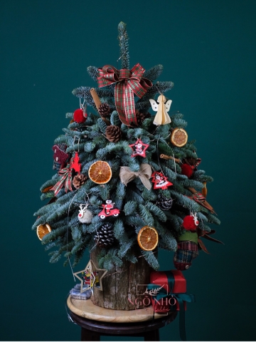 Hộp Thông Nhập Khẩu - Xmas 024