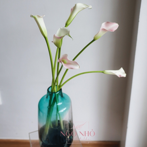(Hoa Lẻ) Hoa Rum/ Calla Lily Giống Hà Lan Đủ Màu