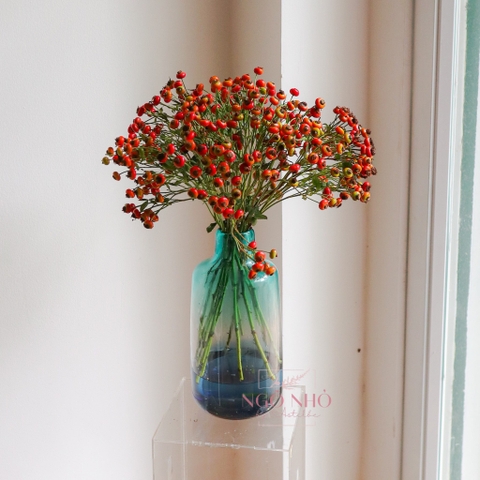 (Hoa Lẻ) Cành Trái Hoa Hồng PumPkin Nhập Khẩu