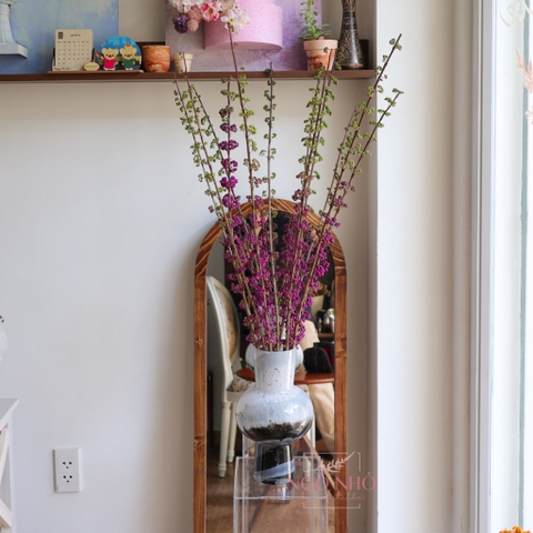 (Hoa Lẻ) Hoa BeautyBerry Tím Nhập Khẩu