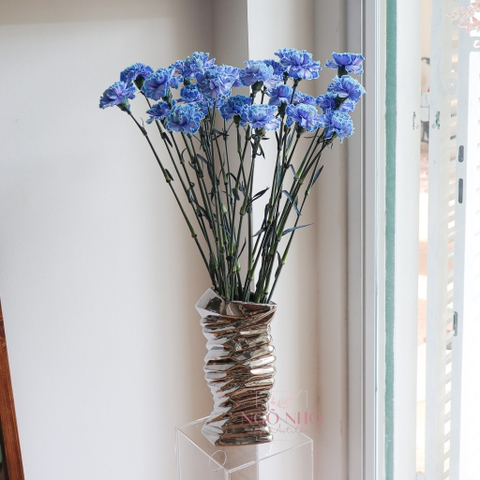 (Hoa Lẻ) Cẩm Chướng Colombia Màu Xanh Nhuộm