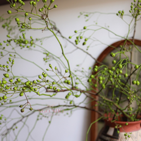 (Hoa Lẻ) Cành Trái Hoa Hồng Dài Xanh Lá