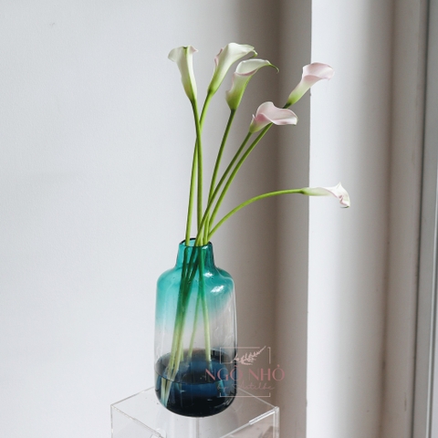 (Hoa Lẻ) Hoa Rum/ Calla Lily Giống Hà Lan Đủ Màu