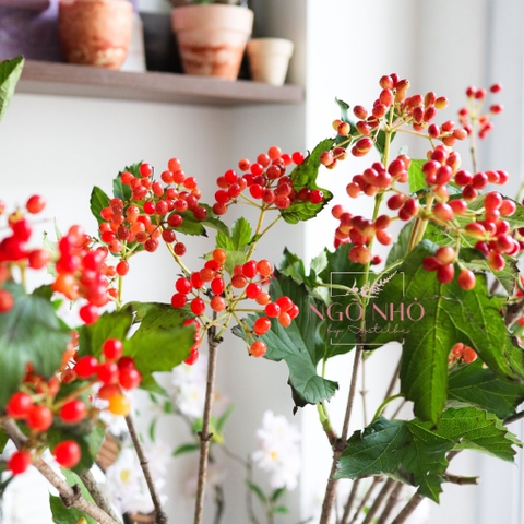 (Hoa Lẻ) Cành Viburnum Opulus Thả Bình