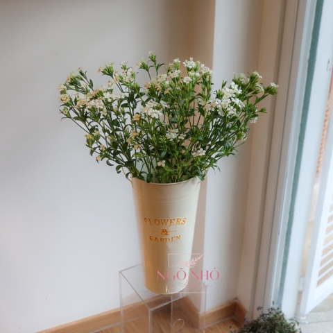 (Hoa Lẻ) Hoa Panse/ Phăng Xê Nhập Khẩu