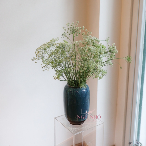 (Hoa Lẻ) Hoa Cà Rốt/ Ren Đà Lạt