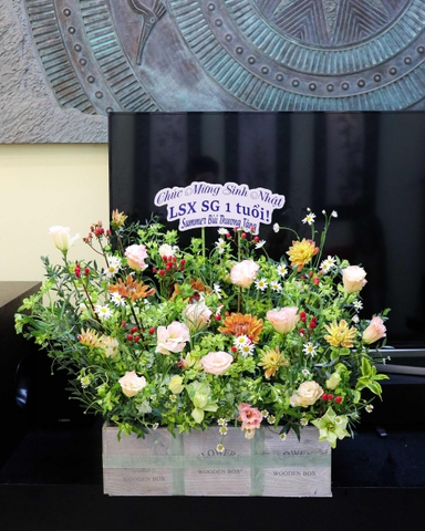 Hộp Gô Hoa Đồng Nội 6in1 | 6 Hộp Hoa Nhỏ