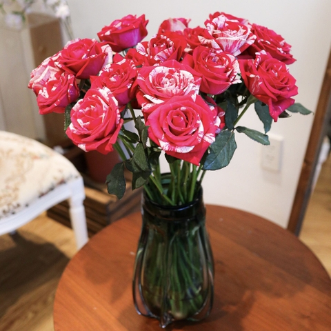 (Hoa Lẻ) Hoa Hồng Kẹo Magic Đà Lạt