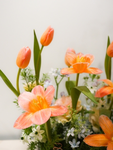 Giỏ Mica Tone Cam | Hoa Tulip Cá Hồi Phối Hoa Nhập Khẩu