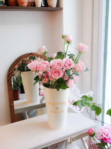 (Hoa Lẻ) Hoa Hồng Baby Lover Thơm Nhẹ Nhàng | Đà Lạt