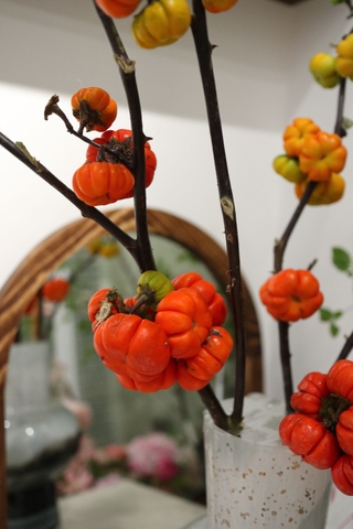 (Hoa Lẻ) Cành Bí Đỏ Mini Nhập Khẩu