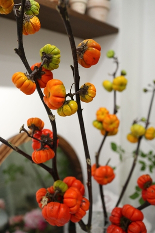 (Hoa Lẻ) Cành Bí Đỏ Mini Nhập Khẩu