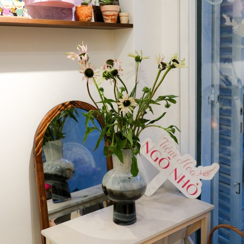 (Hoa Lẻ) Hoa Cúc Cầu Vồng Nhập Khẩu