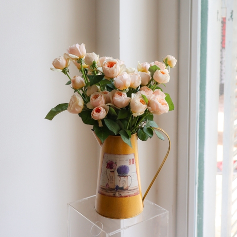 (Hoa Lẻ) Hoa Hồng Juliet Cam Đà Lạt