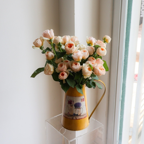 (Hoa Lẻ) Hoa Hồng Juliet Cam Đà Lạt