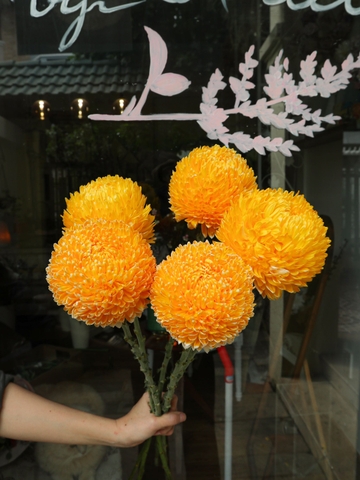 (Hoa lẻ) Hoa Cúc Mẫu Đơn Malaysia