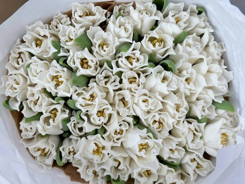 (Hoa Lẻ) Hoa Tulip Hà Lan | Đủ Màu