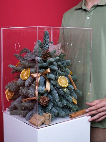 Hộp Thông Nhập Khẩu - Xmas Mica