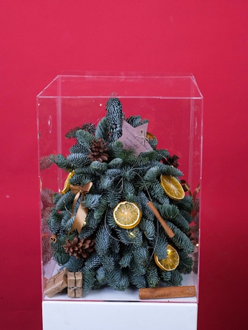 Hộp Thông Nhập Khẩu - Xmas Mica