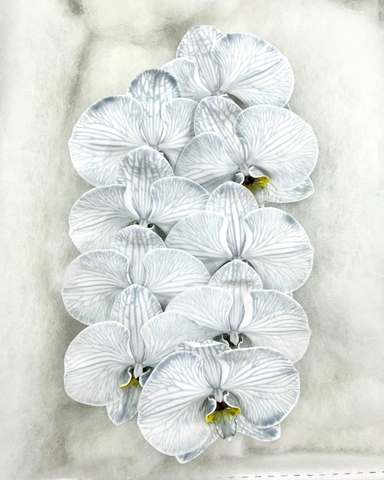 (Hoa Lẻ) Cành Lan Hồ Điệp Xanh Blue Nhuộm Apollo