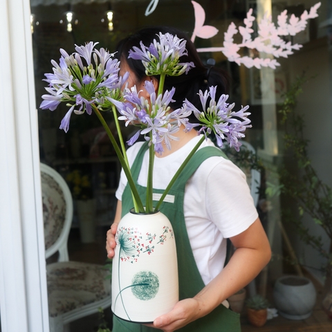 (Hoa Lẻ) Hoa Thanh Anh - Agapanthus