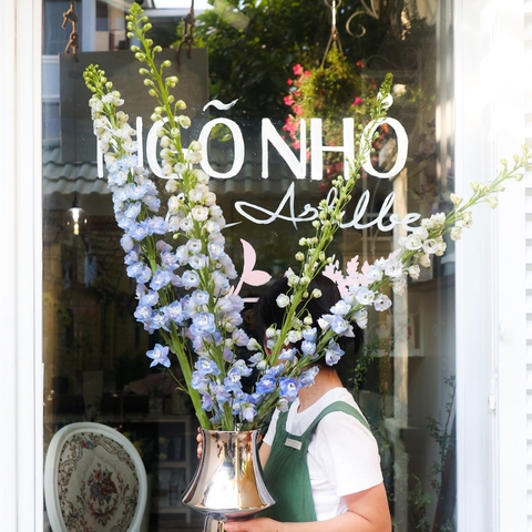 (Hoa Lẻ) Delphinium Nhập Khẩu Xanh Blue