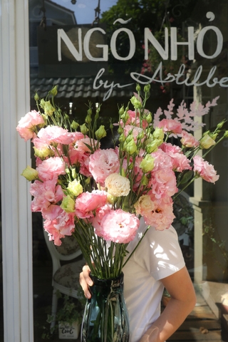 (Hoa Lẻ) Hoa Cát Tường Đà Lạt