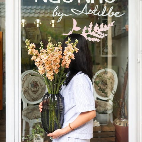 (Hoa Lẻ) Hoa Phi Yến