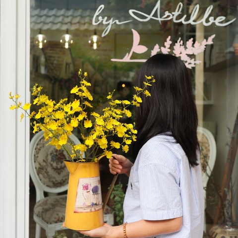 (Hoa Lẻ) Hoa Lan Vũ Nữ Vàng