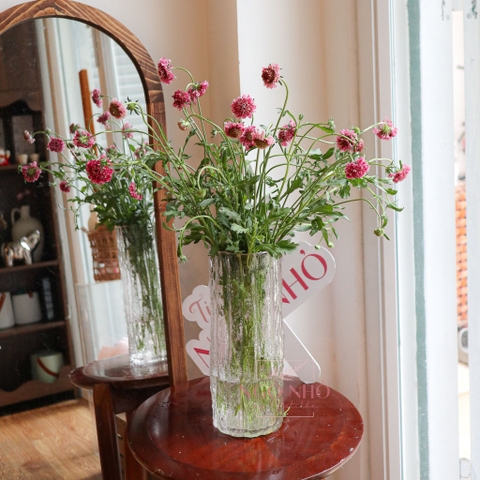 (Hoa Lẻ) Hoa Scabiosa Hồng Đậm Nhập Khẩu