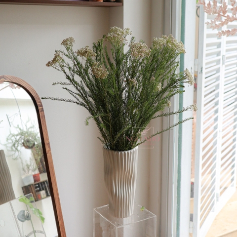 (Hoa Lẻ) Hoa Gạo Hồng Nhạt Nhập Khẩu