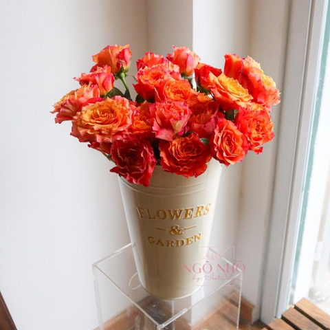 (Hoa Lẻ) Hoa Hồng Cam Spirit